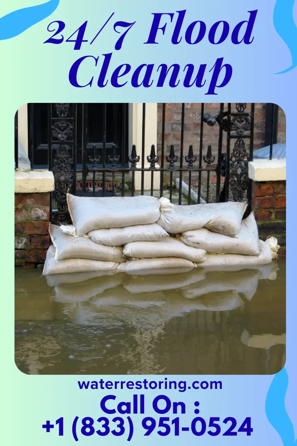 24/7 Flood Cleanup in Desoto Lakes, FL