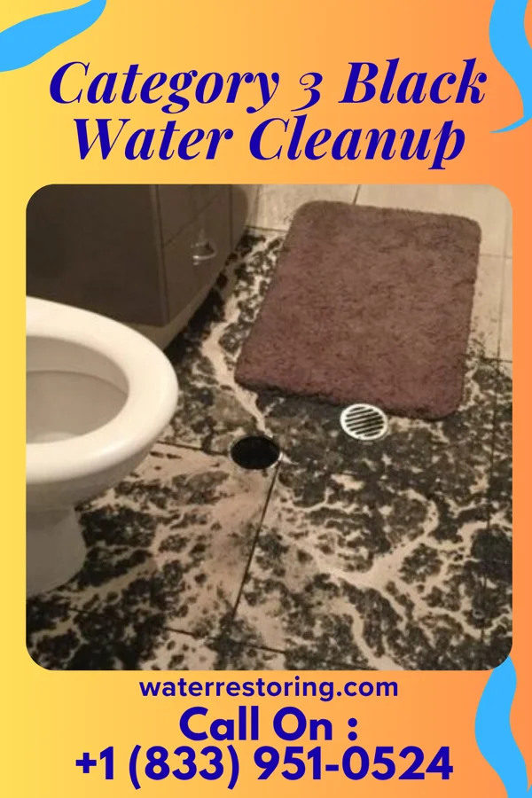 Category 3 Black Water Cleanup in Desoto Lakes, FL
